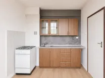 Prodej bytu 1+1, Bílina - Pražské Předměstí, Fügnerova, 33 m2