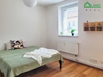 Pronájem bytu 1+kk, Brno, Cejl, 24 m2
