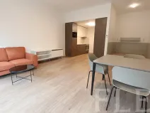 Pronájem bytu 1+kk, Praha - Žižkov, Hartigova, 48 m2