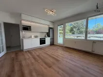 Pronájem bytu 3+kk, Brno, Štefáčkova, 63 m2