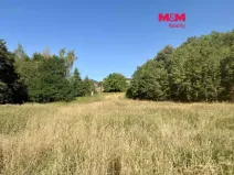 Prodej pozemku pro bydlení, Velemín, 5378 m2