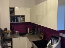 Pronájem bytu 2+1, Praha - Nusle, V Horkách, 52 m2