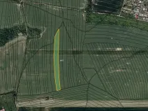 Prodej podílu pole, Osvětimany, 4330 m2