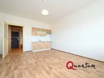 Pronájem bytu 1+kk, Praha - Vinohrady, Fričova, 32 m2