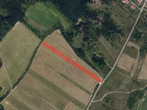 Prodej podílu sadu/vinice, Znojmo, 1139 m2