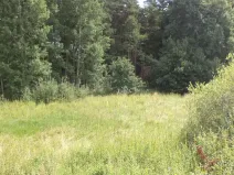 Prodej pozemku, Chodský Újezd - Nahý Újezdec, 2441 m2