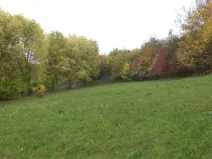 Dražba louky, Ústí nad Labem, 570 m2