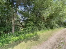Prodej pozemku, Nové Hrady - Nakolice, 974 m2