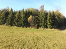 Prodej pozemku, Budišov nad Budišovkou, 60778 m2