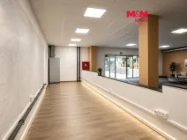 Pronájem kanceláře, Rychnov nad Kněžnou, Havlíčkova, 291 m2