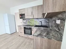 Pronájem bytu 1+kk, Olomouc, Wolkerova, 31 m2