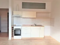 Pronájem bytu 1+kk, České Budějovice, Tylova, 34 m2