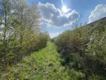 Prodej pozemku, Černčice, 3560 m2