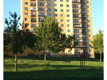 Prodej bytu 1+kk, Plzeň, Jesenická, 34 m2