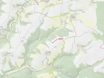 Dražba lesa, Čestín, 356 m2