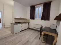 Pronájem bytu 1+1, Brno, Palackého třída, 43 m2