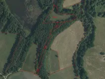Prodej pozemku, Novosedly nad Nežárkou, 15643 m2