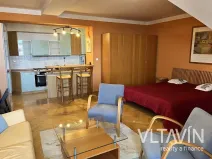 Pronájem bytu 1+kk, Praha - Vinohrady, Slezská, 45 m2