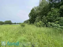 Prodej pozemku, Čejetice - Mladějovice, 1639 m2