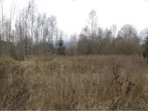 Prodej pozemku, Horní Planá, 1390 m2