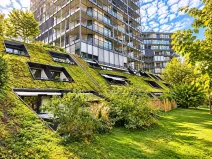 Prodej bytu 3+kk, Praha - Žižkov, Pitterova, 88 m2