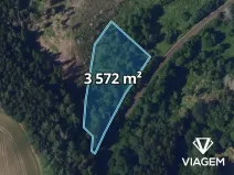 Prodej podílu lesa, Břevnice, 1786 m2