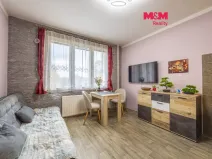 Prodej bytu 1+1, Klatovy - Klatovy IV, Za Tratí, 42 m2