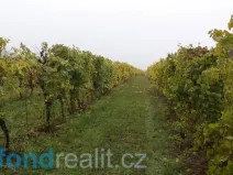 Prodej pozemku, Morkůvky, 4541 m2