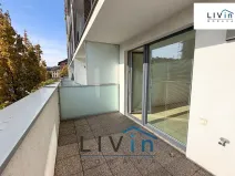 Pronájem bytu 1+kk, Olomouc, Rokycanova, 43 m2