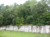Dražba louky, Kaplice, 99 m2