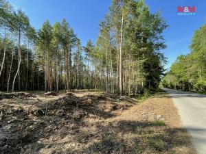 Prodej lesa, Boršov nad Vltavou, 6271 m2