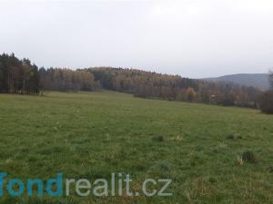 Prodej zemědělské půdy, Zdíkov - Branišov, 10225 m2