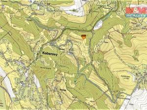 Prodej trvalého travního porostu, Koberovy, 2044 m2