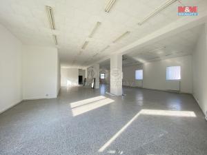 Pronájem obchodního prostoru, Louny, Říční, 390 m2