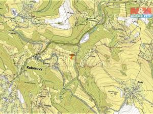 Prodej trvalého travního porostu, Koberovy, 1670 m2