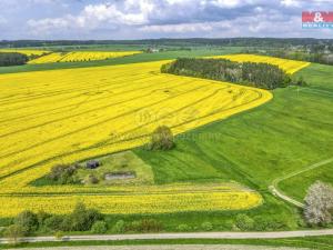 Prodej zemědělské půdy, Ostrov u Bezdružic - Pláň, 6672 m2