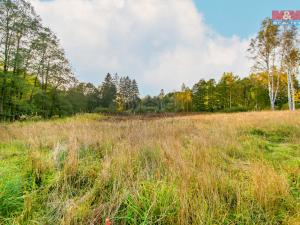 Prodej pozemku pro bydlení, Stará Voda, 2517 m2