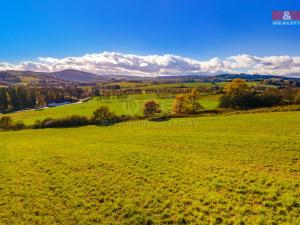 Prodej trvalého travního porostu, Kolinec, 6484 m2