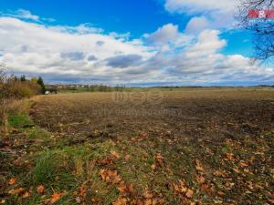 Prodej zemědělské půdy, Hradešice, 3802 m2