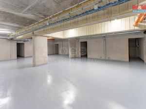 Prodej bytu 5+kk, Praha, Sestupná, 130 m2