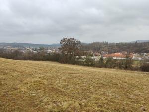 Prodej trvalého travního porostu, Letovice, 34048 m2