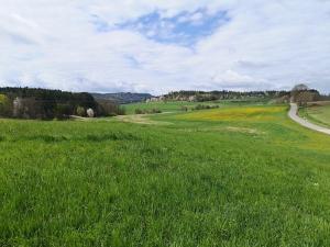 Prodej pozemku pro bydlení, Radomyšl, 10000 m2