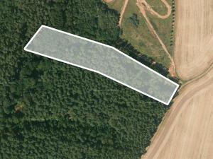 Prodej lesa, Besednice, 5090 m2