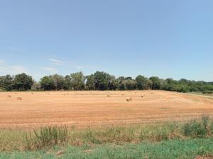 Prodej zemědělské půdy, Velvary, 3605 m2