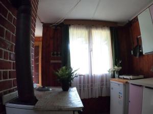 Prodej chaty, Horní Pěna, 41 m2