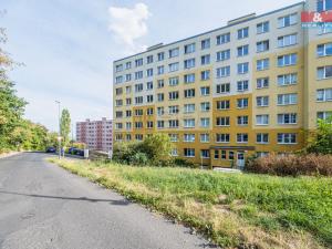 Prodej bytu 4+1, Litvínov - Janov, Luční, 85 m2