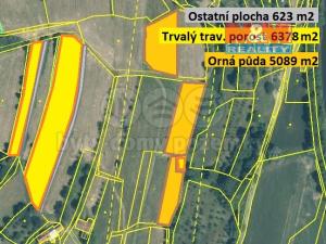 Prodej trvalého travního porostu, Pržno, 41635 m2