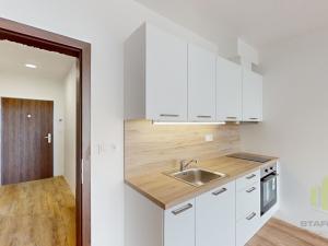 Pronájem bytu 1+kk, Olomouc, Camilla Sitteho, 35 m2