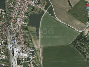 Prodej zemědělské půdy, Hrušovany u Brna, 5601 m2