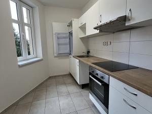 Pronájem bytu 1+kk, Brno, Mathonova, 35 m2